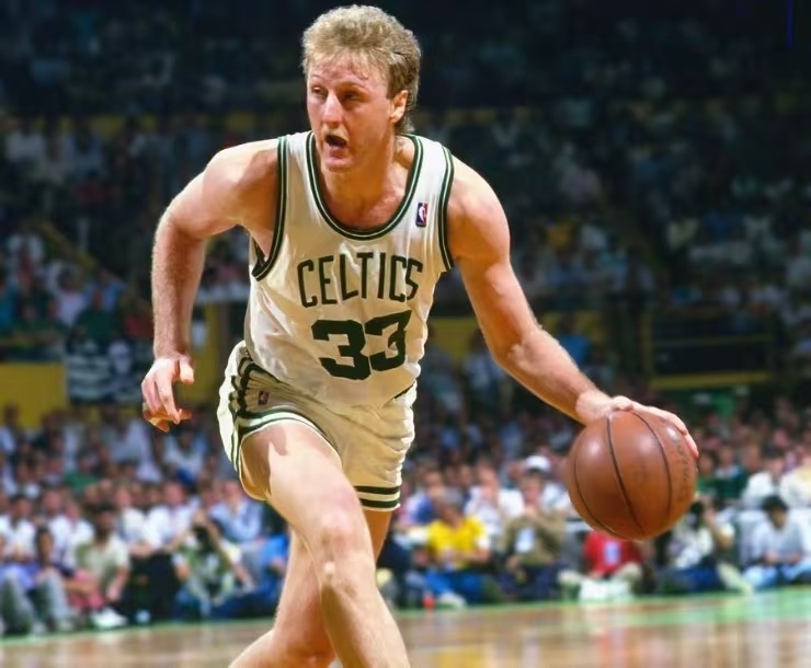 舞蹈表演以 舞蹈表演以